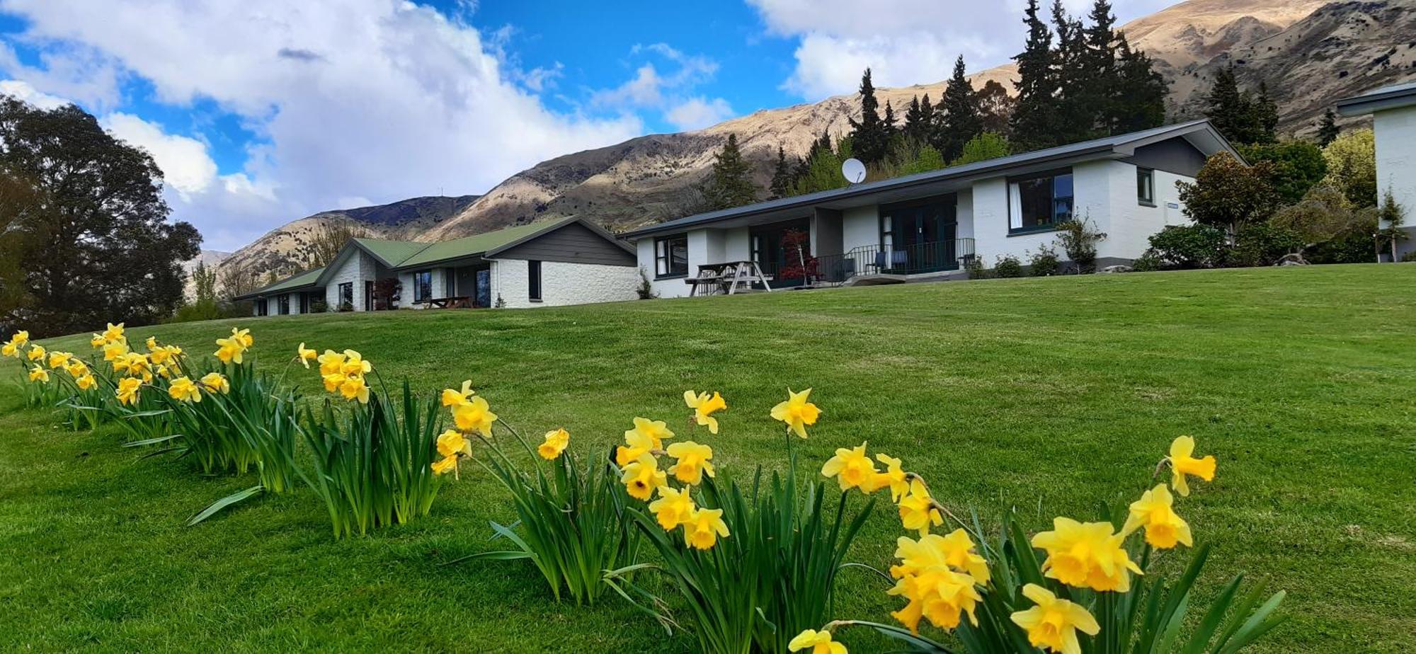 Wanaka Top 10 Holiday Park Exterior foto